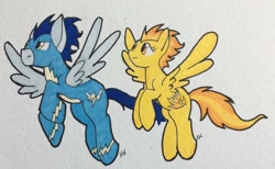 Size: 1024x632 | Tagged: safe, artist:thepoppieseed, derpibooru import, soarin', spitfire, pony, duo, flying, traditional art