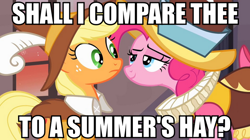 Size: 892x500 | Tagged: safe, screencap, applejack, chancellor puddinghead, pinkie pie, smart cookie, earth pony, pony, image macro, meme, shakespearean insults