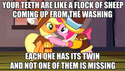 Size: 889x500 | Tagged: safe, edit, edited screencap, screencap, applejack, chancellor puddinghead, pinkie pie, smart cookie, earth pony, pony, bible verse, image macro, meme, religion, song of solomon