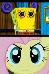 Size: 533x800 | Tagged: safe, screencap, fluttershy, pegasus, pony, female, mare, spongebob squarepants, stare