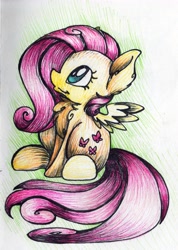 Size: 3065x4312 | Tagged: safe, artist:cutepencilcase, fluttershy, pegasus, pony, chest fluff, sitting, solo, traditional art