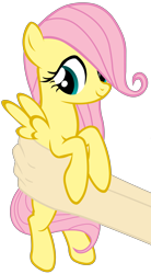 Size: 3667x6625 | Tagged: safe, artist:justisanimation, fluttershy, human, pony, cute, filly, filly fluttershy, hand, holding a pony, justis holds a pony, looking away, shyabetes, simple background, smiling, solo, transparent background