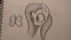 Size: 1024x579 | Tagged: safe, artist:chrispy248, fluttershy, butterfly, pegasus, pony, monochrome, traditional art