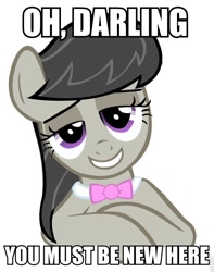 Size: 701x888 | Tagged: safe, artist:blizzy-sky, octavia melody, earth pony, pony, bedroom eyes, caption, condescending octavia, image macro, simple background, text, vector, white background