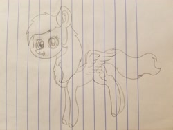 Size: 4032x3024 | Tagged: safe, artist:rainbow dash is best pony, derpibooru import, rainbow dash, pegasus, pony, chest fluff, cute, daaaaaaaaaaaw, ear fluff, lined paper, looking at you, open mouth, pencil drawing, solo, spread wings, traditional art, wings