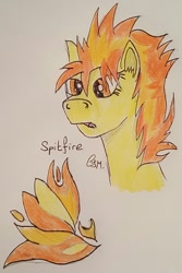 Size: 963x1440 | Tagged: safe, artist:rapidsnap, derpibooru import, spitfire, bust, cutie mark, solo, traditional art