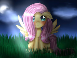 Size: 2000x1500 | Tagged: safe, artist:xxchibiyumexx, fluttershy, pegasus, pony, female, floppy ears, full face view, full moon, grass, looking at you, mare, moonlight, night, night sky, sitting, solo, spread wings