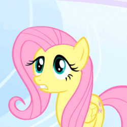 Size: 404x404 | Tagged: safe, screencap, fluttershy, pegasus, pony, sonic rainboom (episode), animated, blinking, cloudsdale, cropped, cute, folded wings, frown, gif, looking up, open mouth, rawr, shyabetes, solo, text