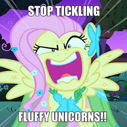 Size: 640x640 | Tagged: safe, fluttershy, fluffy pony, pegasus, pony, fluffy, image macro, meme, you're going to love me