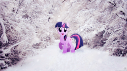 Size: 1920x1080 | Tagged: safe, artist:dj-applej-sound, artist:xpesifeindx, derpibooru import, twilight sparkle, irl, path, photo, ponies in real life, snow, solo, tree, vector, wallpaper, winter