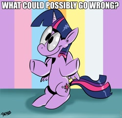 Size: 960x930 | Tagged: safe, artist:benja, derpibooru import, twilight sparkle, twilight sparkle (alicorn), alicorn, pony, caption, female, image macro, mare, meme, reaction image, shrug, solo