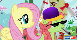 Size: 1920x1012 | Tagged: safe, artist:linormusicbeatpone, fluttershy, tree hugger, pegasus, pony, make new friends but keep discord, airhorn, chips, dank, doritos, drugs, food, grin, illuminati, joint, marijuana, mlg, smiling, sunglasses