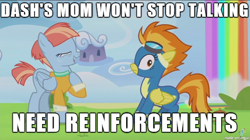 Size: 610x342 | Tagged: safe, derpibooru import, edit, edited screencap, screencap, spitfire, windy whistles, pegasus, pony, parental glideance, blouse, clothes, cute, eyes closed, female, frown, image macro, lolcardigan, looking at you, mare, meme, rainbow fall, raised hoof, spitwimp, talking, text, uniform, wide eyes, windybetes, wonderbolts uniform, worried