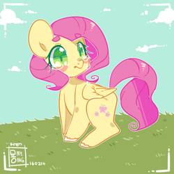 Size: 600x600 | Tagged: safe, fluttershy, pegasus, pony, female, mare, solo