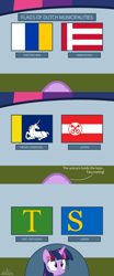 Size: 1000x2400 | Tagged: safe, artist:parclytaxel, derpibooru import, twilight sparkle, twilight sparkle (alicorn), alicorn, classical unicorn, pony, doetinchem, eindhoven, embarrassed, female, flag, juxtaposition, key, laren, leiden, leonine tail, mare, menaldumadeel, menameradiel, municipality, netherlands, pov, pun, sint anthonis, solo, tumblr, twitwee, vexillology