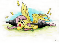 Size: 2000x1455 | Tagged: safe, artist:ecmonkey, fluttershy, pegasus, pony, barbell, feather, female, floppy ears, mare, open mouth, pinned, pinned down, prone, solo, spread wings, three quarter view, weights, wings, yelling