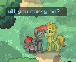 Size: 403x328 | Tagged: safe, derpibooru import, screencap, spitfire, oc, oc:ishiro musaka, pony, canon x oc, crying, female, male, marriage proposal, pony town, straight, tears of joy