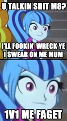 Size: 676x1224 | Tagged: safe, screencap, sonata dusk, equestria girls, rainbow rocks, comic, faget, faic, image macro, meme, u wot m8, vulgar