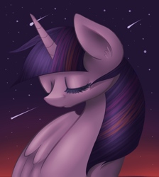 Size: 1132x1262 | Tagged: safe, artist:alleynurr, derpibooru import, twilight sparkle, twilight sparkle (alicorn), alicorn, pony, female, mare, meteor shower, shooting star, solo, stars