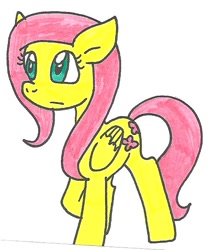 Size: 502x595 | Tagged: safe, artist:cmara, fluttershy, pegasus, pony, female, mare, solo, traditional art