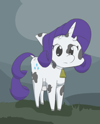 Size: 1280x1582 | Tagged: safe, artist:davierocket, rarity, cow, bell, cowbell, raricow, simple background, solo, species swap