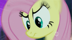 Size: 599x335 | Tagged: safe, screencap, fluttershy, pegasus, pony, animated, solo, stare