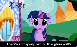 Size: 1600x973 | Tagged: safe, derpibooru import, screencap, twilight sparkle, :o, caption, cs captions, dilated pupils, floppy ears, fourth wall, looking at you, solo