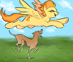 Size: 1346x1135 | Tagged: safe, artist:glacierclear, derpibooru import, spitfire, dog, pegasus, pony, female, flying, mare