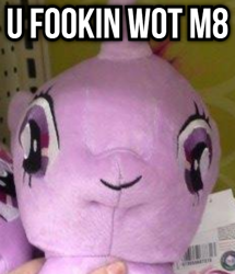 Size: 480x557 | Tagged: safe, derpibooru import, twilight sparkle, caption, exploitable meme, faic, hasbro, irl, meme, photo, plushie, solo, text, u wot m8, wat