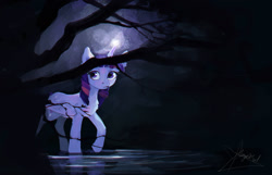 Size: 1556x1004 | Tagged: safe, artist:nayshie, derpibooru import, twilight sparkle, twilight sparkle (alicorn), alicorn, pony, dark, female, forest, glow, mare, night, solo, water