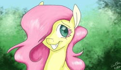 Size: 1024x600 | Tagged: safe, artist:cielthekitten, fluttershy, pegasus, pony, female, mare, pink mane, solo, yellow coat