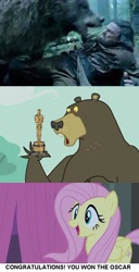 Size: 498x969 | Tagged: safe, fluttershy, harry, bear, pegasus, pony, alejandro gonzález iñárritu, hilarious in hindsight, leonardo dicaprio, meme, oscar, oscars, the revenant