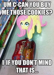 Size: 692x960 | Tagged: safe, fluttershy, image macro, irl, meme, photo, ponies in real life, shopping