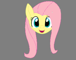 Size: 948x746 | Tagged: safe, artist:tiarawhy, fluttershy, pegasus, pony, animated, solo, wip