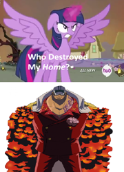 Size: 424x589 | Tagged: safe, derpibooru import, twilight sparkle, twilight sparkle (alicorn), alicorn, pony, akainu, exploitable meme, female, hub logo, mare, meme, one piece, who destroyed twilight's home