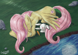 Size: 1754x1240 | Tagged: safe, artist:gaiascope, angel bunny, fluttershy, pegasus, pony, river, sleeping