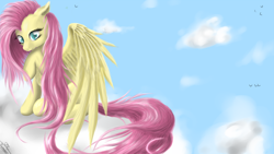 Size: 1440x810 | Tagged: safe, artist:robbergon, fluttershy, pegasus, pony, cloud, sitting, solo, spread wings