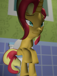 Size: 539x715 | Tagged: safe, artist:unknownface24, sunset shimmer, pony, unicorn, 3d, but why, female, fetish, implied pooping, mare, solo, toilet