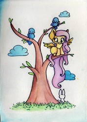 Size: 1983x2784 | Tagged: safe, artist:cutepencilcase, fluttershy, bird, pegasus, pony, rabbit, female, looking down, mare, on tree, sitting, solo, spread wings, traditional art, tree, watercolor painting, wings