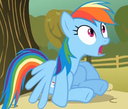 Size: 396x337 | Tagged: safe, derpibooru import, screencap, rainbow dash, pegasus, pony, fall weather friends, cropped, solo, tree