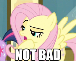 Size: 500x402 | Tagged: safe, derpibooru import, screencap, fluttershy, twilight sparkle, pegasus, pony, read it and weep, not bad, reaction image, solo