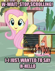 Size: 461x600 | Tagged: safe, fluttershy, pegasus, pony, meme, new student starfish, patrick star, spongebob squarepants, that's my pony, that's my x