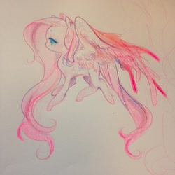 Size: 640x640 | Tagged: safe, artist:costly, fluttershy, pegasus, pony, female, mare, solo, traditional art