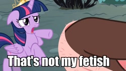 Size: 960x540 | Tagged: safe, derpibooru import, edit, edited screencap, screencap, discord, twilight sparkle, twilight sparkle (alicorn), alicorn, draconequus, pony, princess twilight sparkle (episode), asscord, caption, female, image macro, male, mare, meme, plot, that is not my fetish