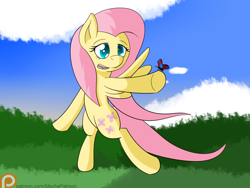 Size: 1024x768 | Tagged: safe, artist:mechanized515, fluttershy, butterfly, pegasus, pony, patreon, patreon logo, solo