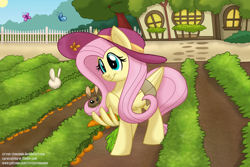 Size: 1280x853 | Tagged: safe, artist:carnivalcharm, fluttershy, butterfly, pegasus, pony, rabbit, carrot, farm, food, hat