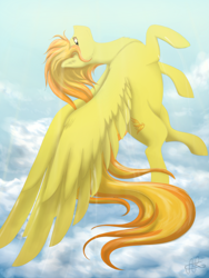 Size: 1800x2400 | Tagged: safe, artist:scarletsfeed, derpibooru import, spitfire, pegasus, pony, cloud, cutie mark, female, flying, looking at you, mare, signature, sky, solo, spread wings, wings