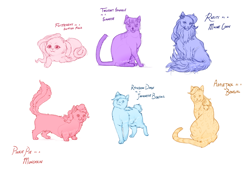 Size: 1846x1333 | Tagged: safe, artist:punbun4fun, derpibooru import, applejack, fluttershy, pinkie pie, rainbow dash, rarity, twilight sparkle, cat, applecat, bengal, catified, fluttercat, japanese bobtail, maine coon, mane six, munchkin, pinkie cat, rainbow cat, raricat, scottish fold, siamese cat, simple background, species swap, text, twilight cat, white background