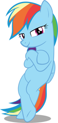 Size: 595x1250 | Tagged: safe, derpibooru import, edit, editor:michaelsety, rainbow dash, pegasus, pony, the washouts (episode), bedroom eyes, bipedal, smiling, solo, vector