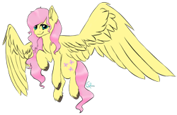 Size: 1024x669 | Tagged: dead source, safe, artist:colaclaw, fluttershy, pegasus, pony, flying, signature, simple background, solo, transparent background, unshorn fetlocks